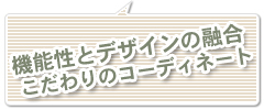 機能性とデザインの融合こだわりのコーディネート