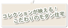 コレクションが映える！こだわるのモダン住宅